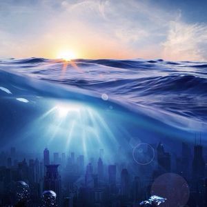 Meet your Posher, Noah